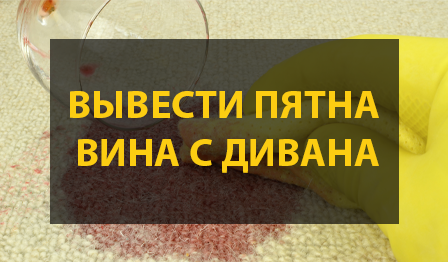 Как вывести вино с дивана